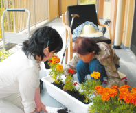 特別養護老人ホーム梅花苑の広いベランダではお花の栽培も楽しめます。