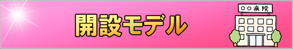 開設モデル