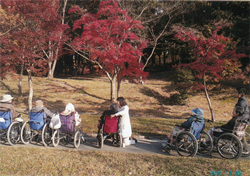 奈良公園へ紅葉がりに行きました